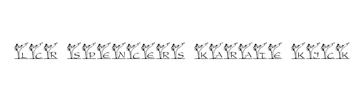 LCR Spencer's Karate Kick Font