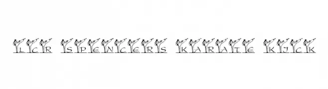 LCR Spencer's Karate Kick  Descarca Fonturi Gratis