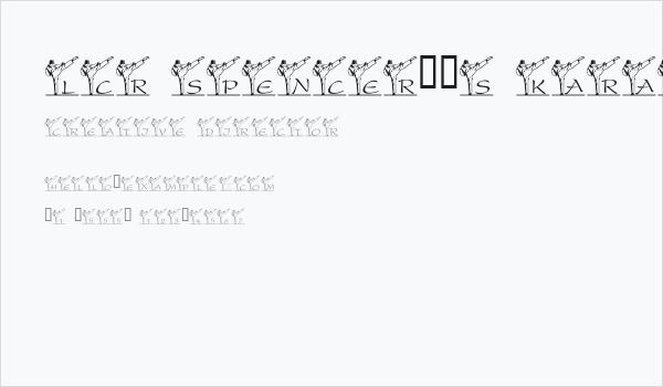 LCR Spencer's Karate Kick Business Card