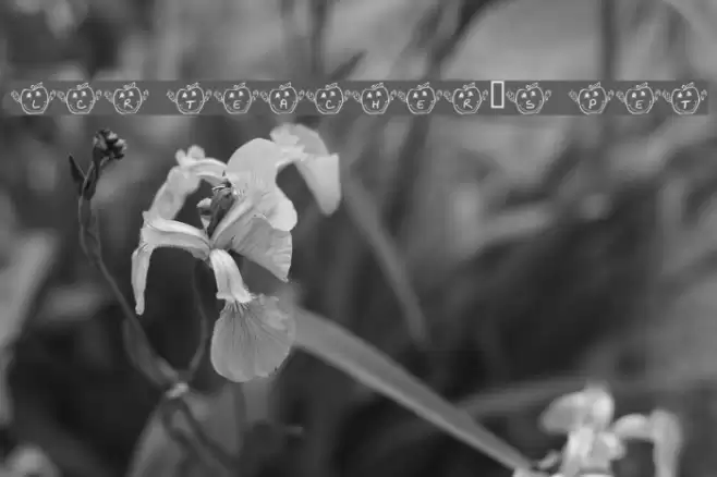 LCR Teacher's Pet Font examples