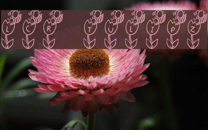 LCR Tulipz Example 1