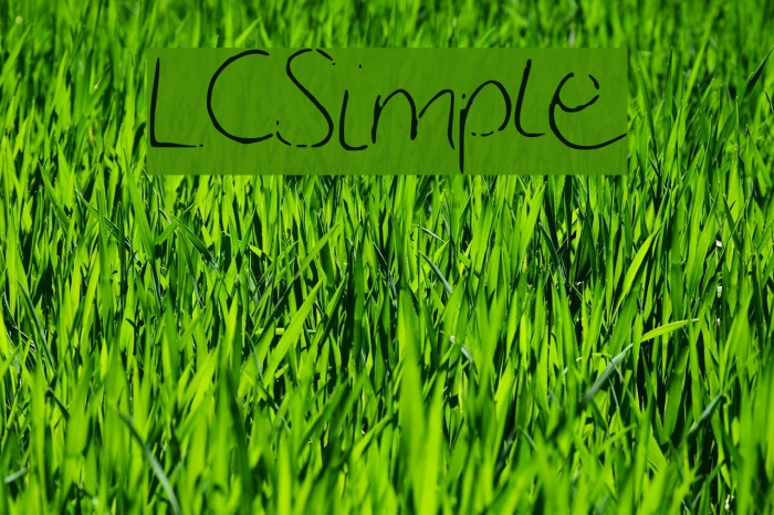 LCSimple Font examples