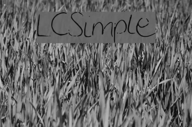 LCSimple examples