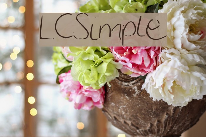 LCSimple Font examples