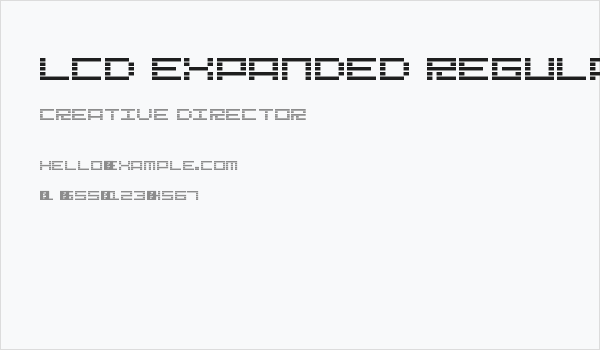 Lcd Expanded Regular Business Card