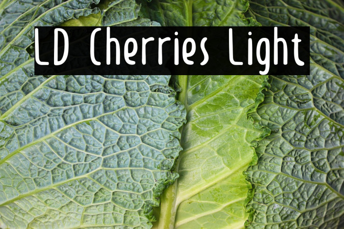 LD Cherries Light Example 3