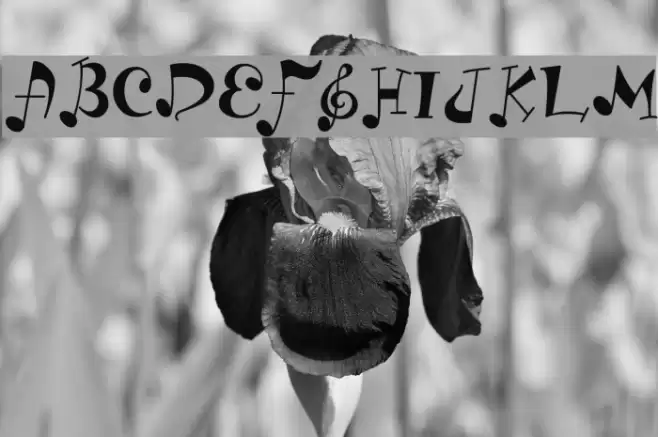 LD Music Font examples