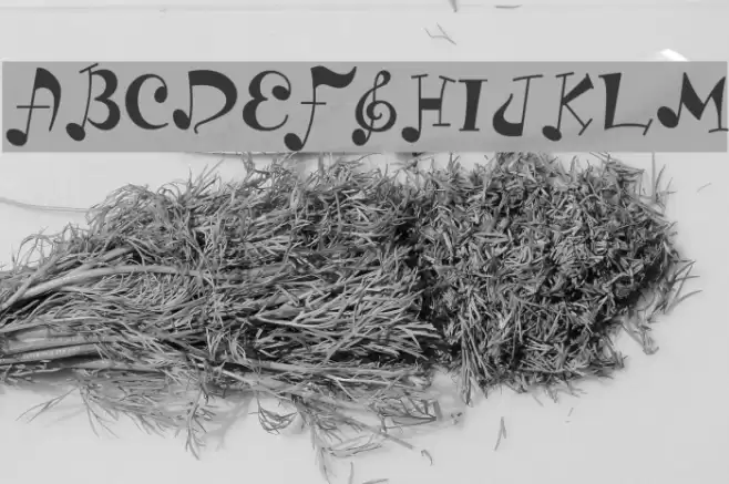 LD Music Font examples