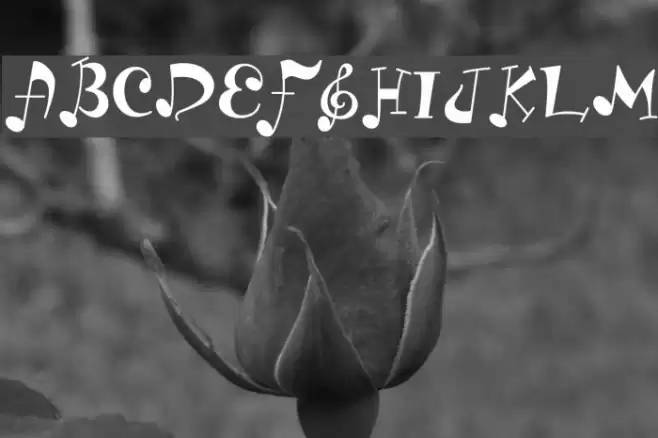 LD Music Font examples