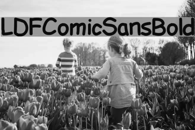 LDFComicSansBold Font examples