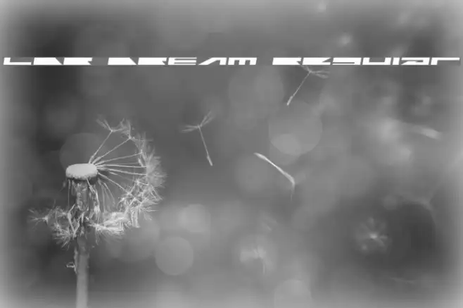 LDR DREAM Regular Example 3