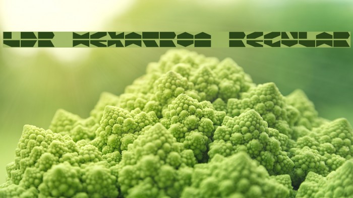 LDR HEXATRON Regular Example 1