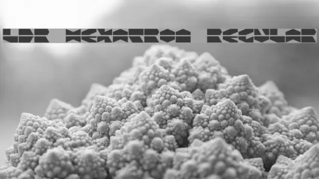 LDR HEXATRON Regular Font examples