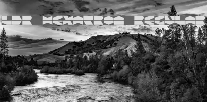 LDR HEXATRON Regular Font examples