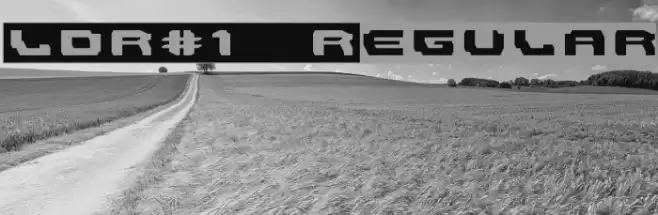 LDR#1 Regular Font examples