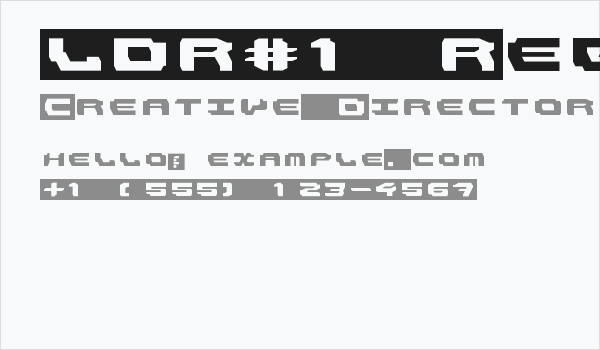 LDR#1 Regular Business Card