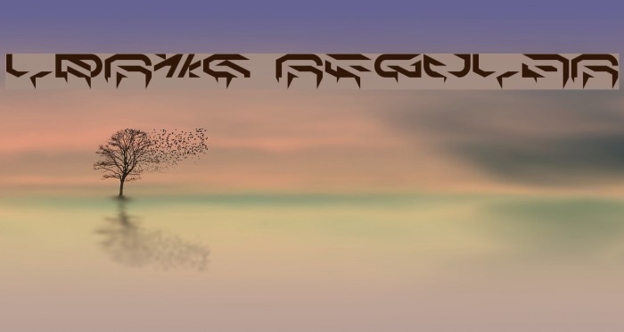 LDR#6 Regular Font examples