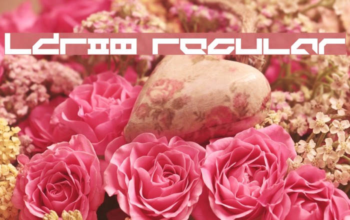 LDR#8 Regular Font examples