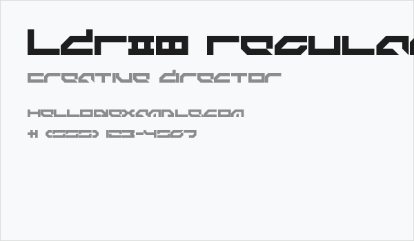LDR#8 Regular Business Card
