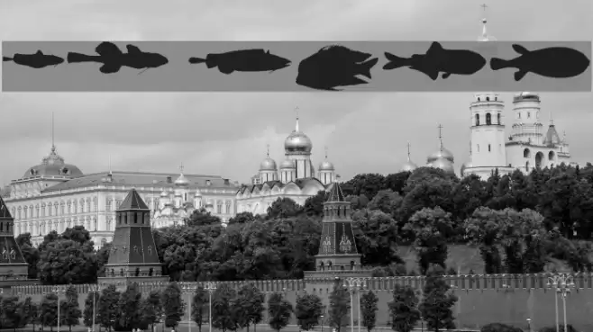 LE FISH Fuentes examples