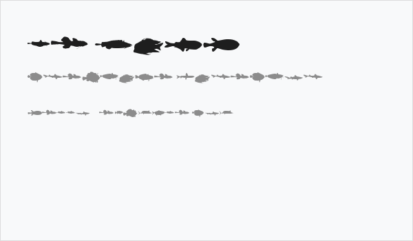 LE FISH Business Card