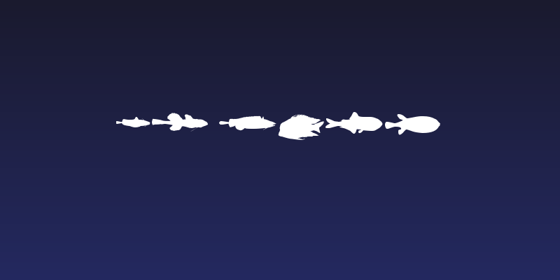 LE FISH Social Header