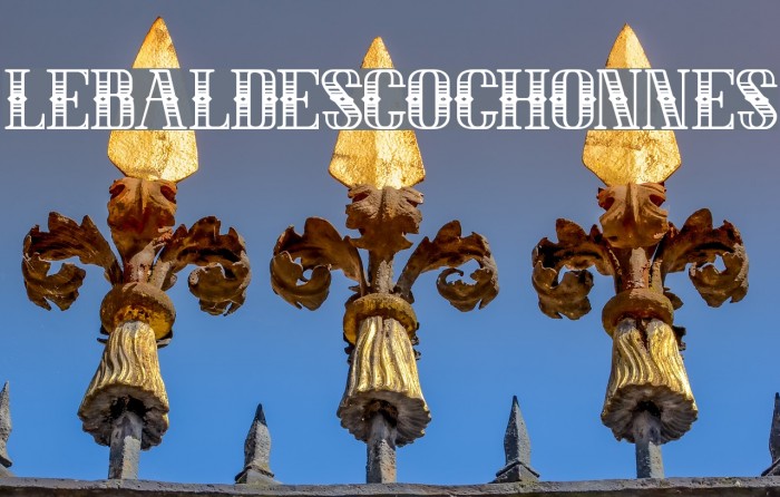 LEBALDESCOCHONNES Example 1