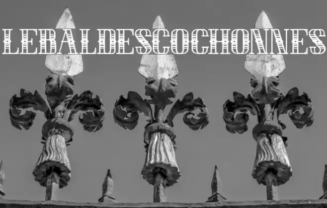 LEBALDESCOCHONNES Font examples