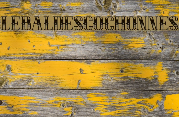 LEBALDESCOCHONNES Example 2