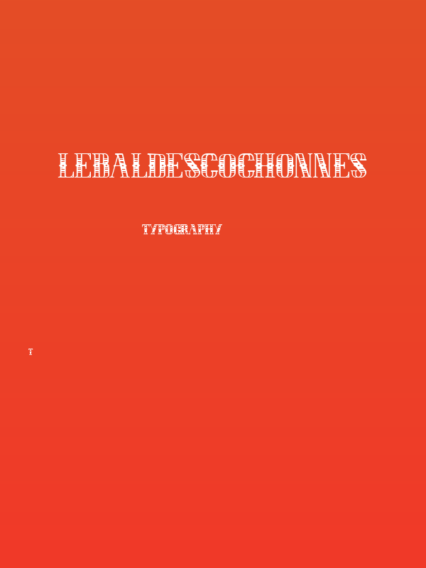 LEBALDESCOCHONNES Poster