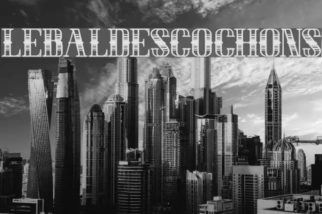 LEBALDESCOCHONS Example 1