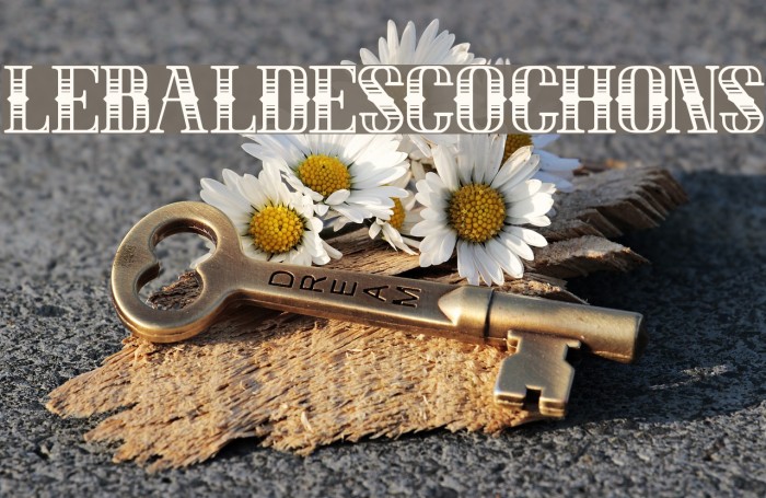 LEBALDESCOCHONS Font examples