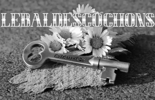 LEBALDESCOCHONS Example 2