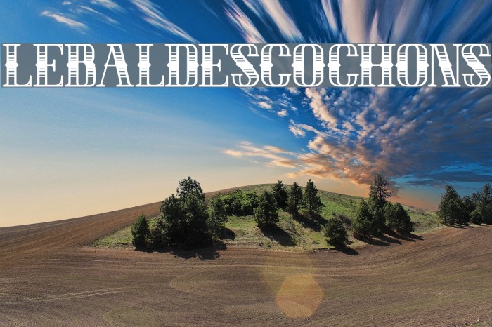 LEBALDESCOCHONS Font examples