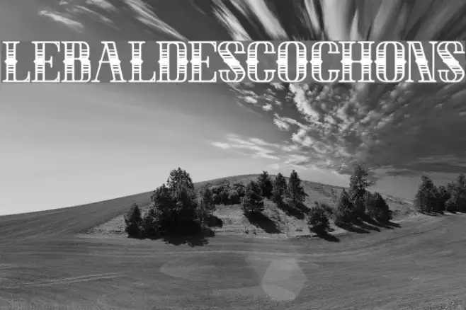 LEBALDESCOCHONS Example 3