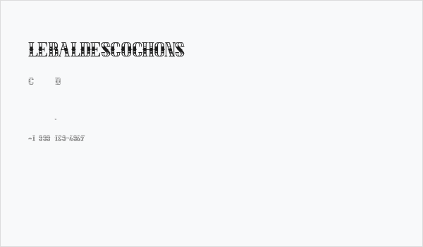 LEBALDESCOCHONS Business Card