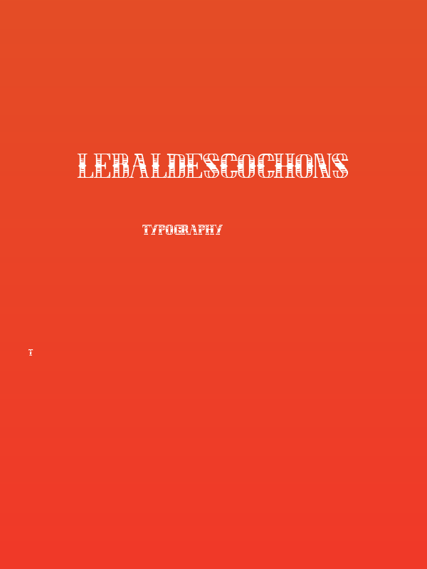 LEBALDESCOCHONS Poster