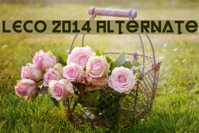 LECO 2014 Alternate Example 1