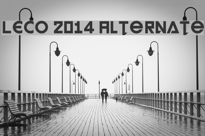 LECO 2014 Alternate Example 3