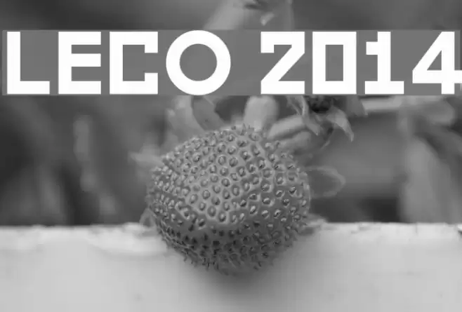 LECO 2014 Шрифта examples