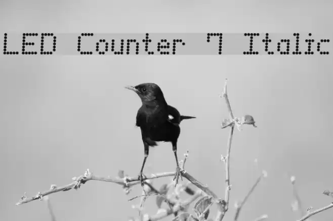 LED Counter 7 Italic फ़ॉन्ट examples