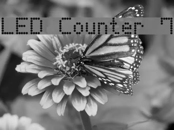 LED Counter 7 Font examples