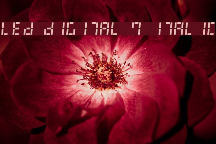 LED Digital 7 Italic Example 1
