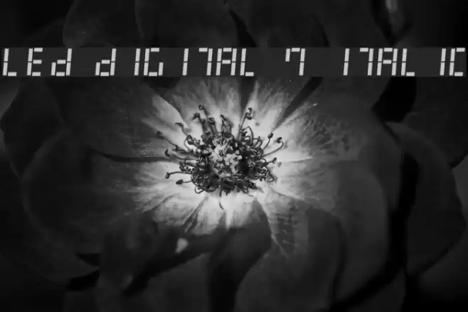 LED Digital 7 Italic Font examples