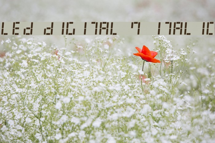 LED Digital 7 Italic Example 3