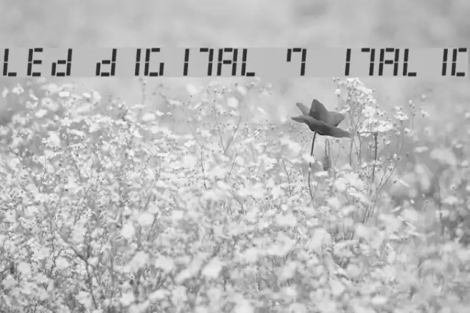 LED Digital 7 Italic Font examples