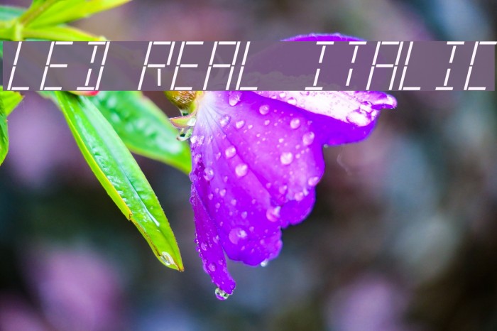LED Real Italic Font examples