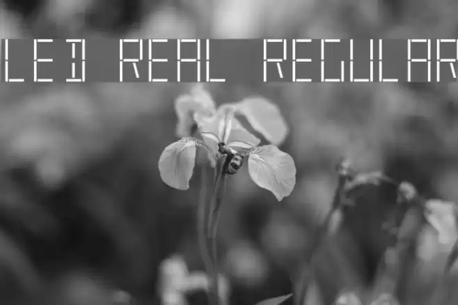 LED Real Regular Font examples