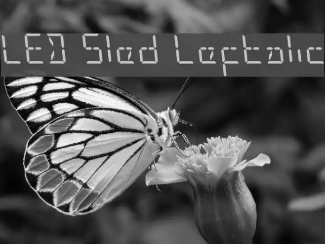 LED Sled Leftalic Font examples