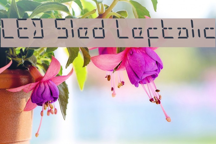 LED Sled Leftalic Example 2